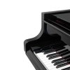 Bosendorfer 225 Imperial